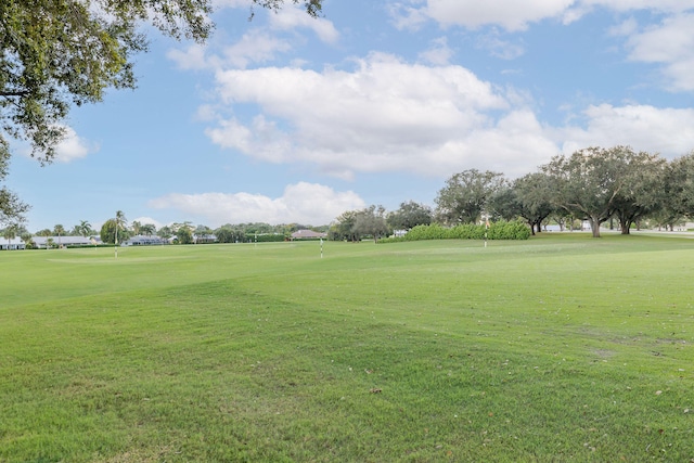 view of community with a yard