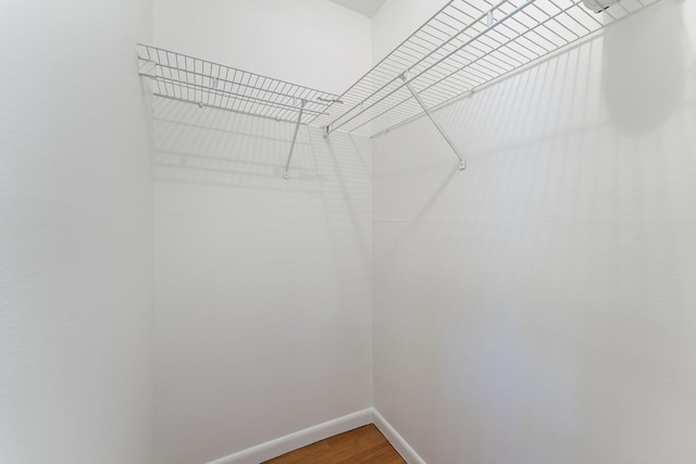 spacious closet with hardwood / wood-style flooring