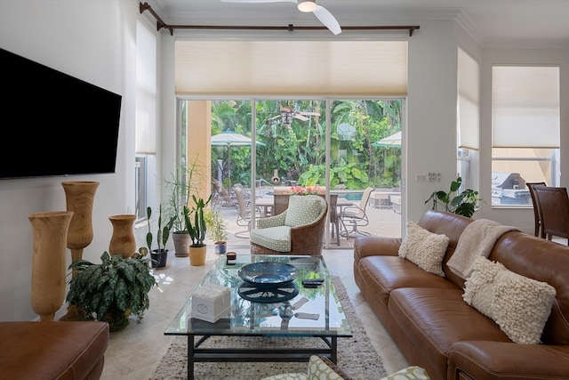 living room featuring plenty of natural light and crown molding