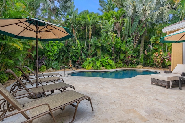 view of swimming pool with a patio area