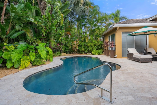 view of swimming pool featuring a patio