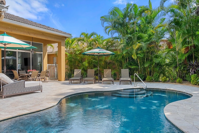 view of pool with a patio area