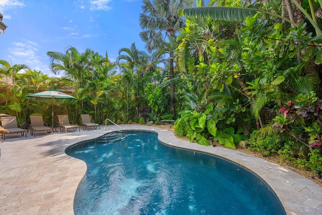 view of swimming pool featuring a patio