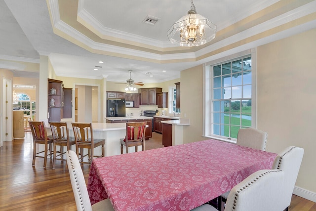 dining area with a raised ceiling, ceiling fan with notable chandelier, crown molding, and dark hardwood / wood-style flooring