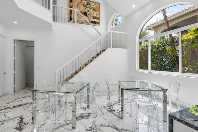 interior space featuring a healthy amount of sunlight and a high ceiling