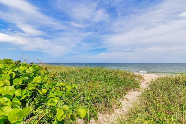 property view of water with a beach view