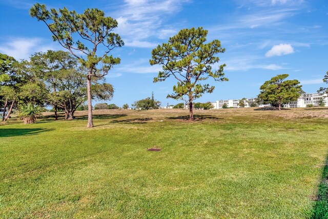 view of grassy yard