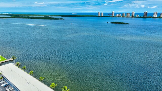 property view of water