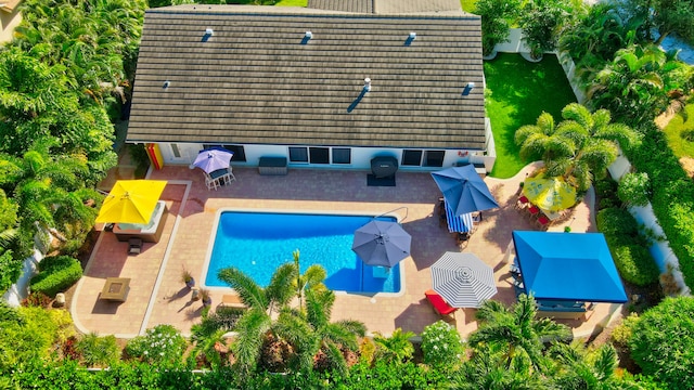 view of swimming pool featuring a patio area