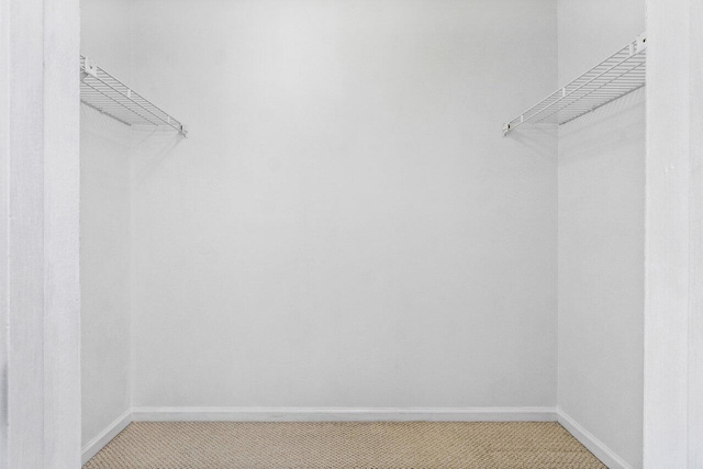 walk in closet with carpet