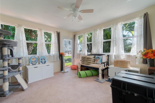 sunroom with ceiling fan