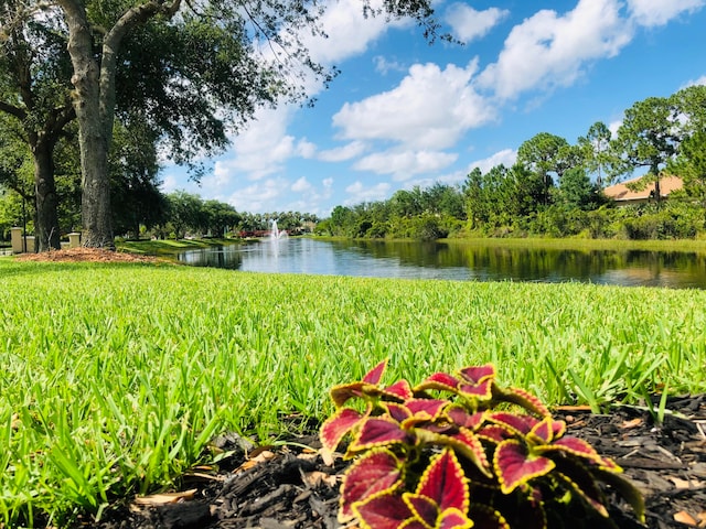 property view of water