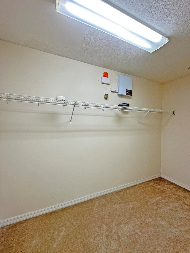 spacious closet featuring carpet