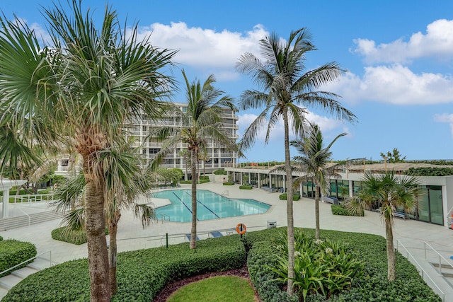 view of pool featuring a patio area