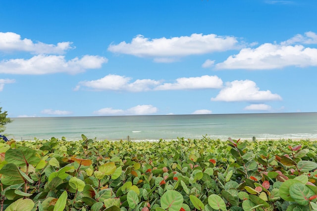 view of water feature with a beach view