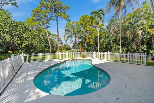 view of swimming pool featuring a patio area, a fenced in pool, and a fenced backyard