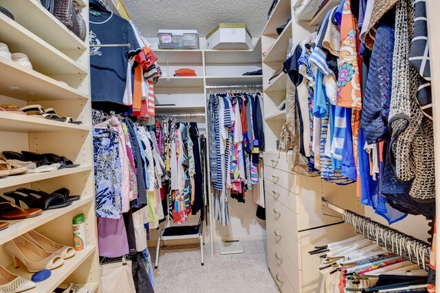 walk in closet with light colored carpet