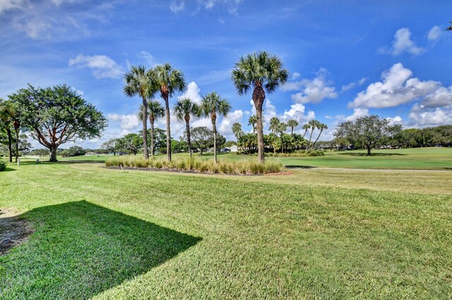 view of property's community with a yard