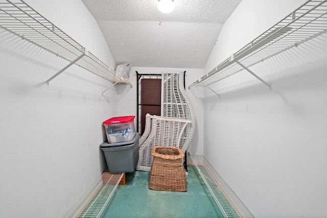 spacious closet with carpet and vaulted ceiling