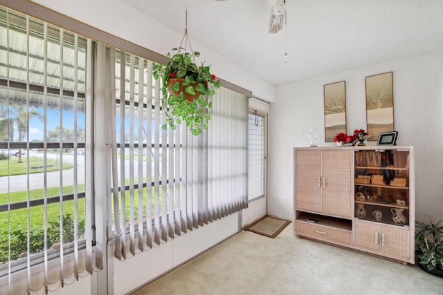 interior space featuring carpet and a wealth of natural light