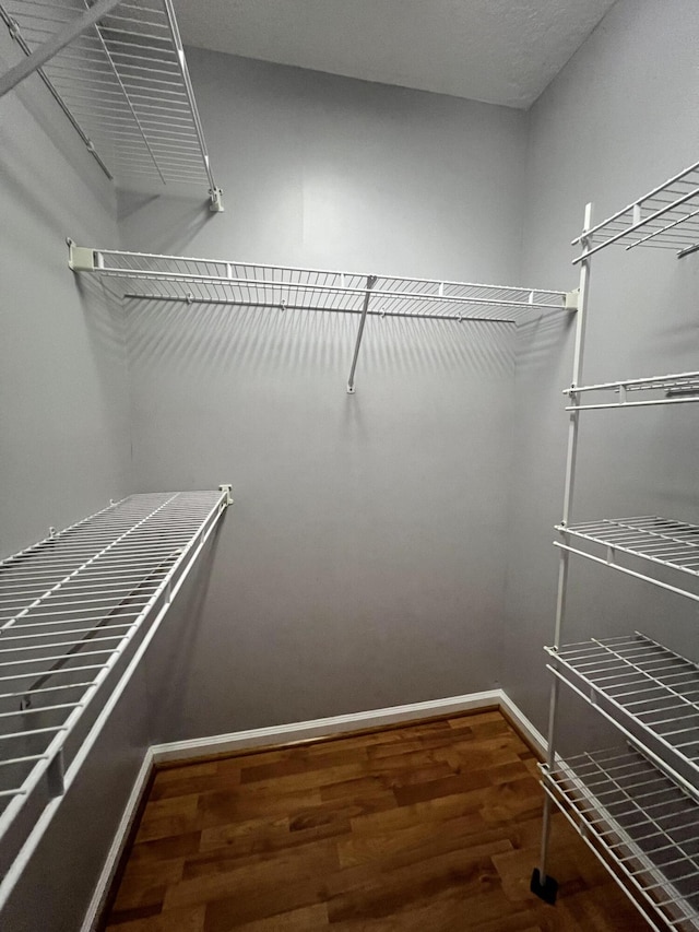 walk in closet with hardwood / wood-style floors