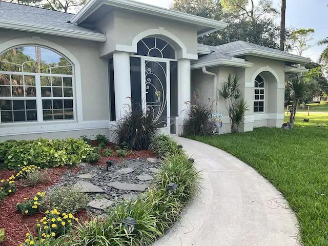 view of exterior entry with a yard