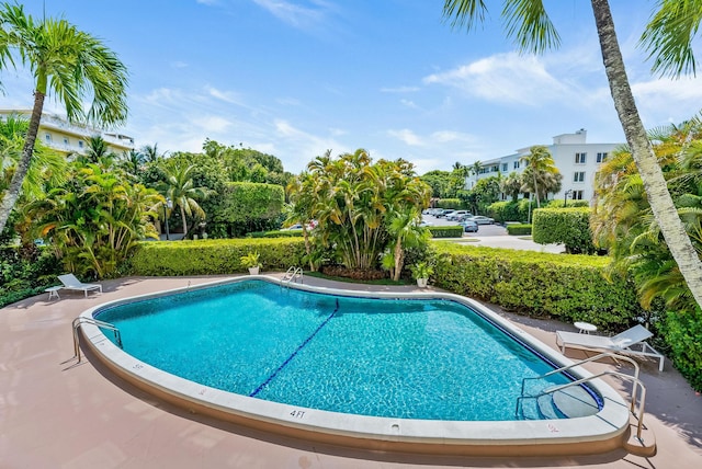 view of pool featuring a patio area