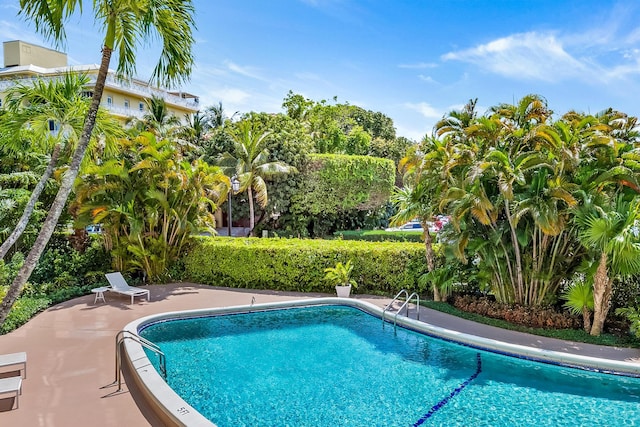 view of pool with a patio area