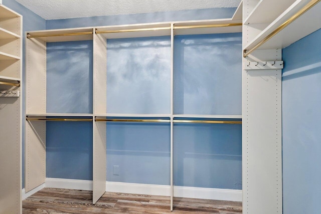 walk in closet featuring hardwood / wood-style floors