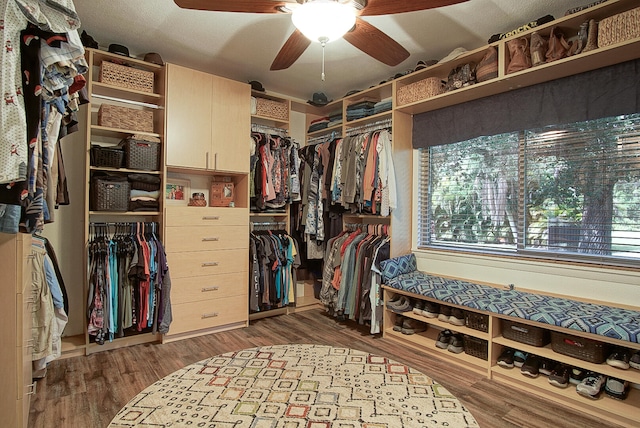 spacious closet featuring dark hardwood / wood-style floors and ceiling fan