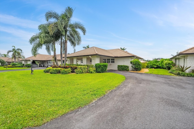 ranch-style home with a front lawn