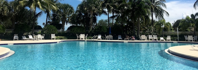 view of swimming pool