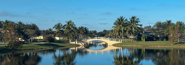 property view of water