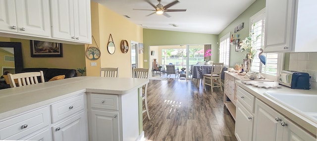 kitchen with white cabinets, dark hardwood / wood-style floors, and a healthy amount of sunlight