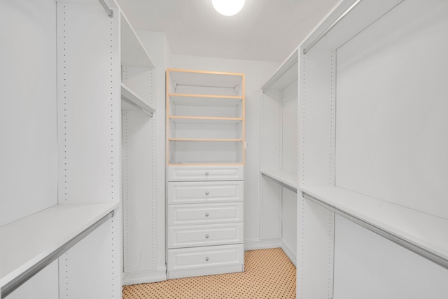 view of spacious closet