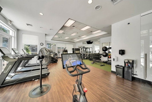 exercise room featuring wood-type flooring