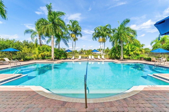 view of swimming pool with a patio area