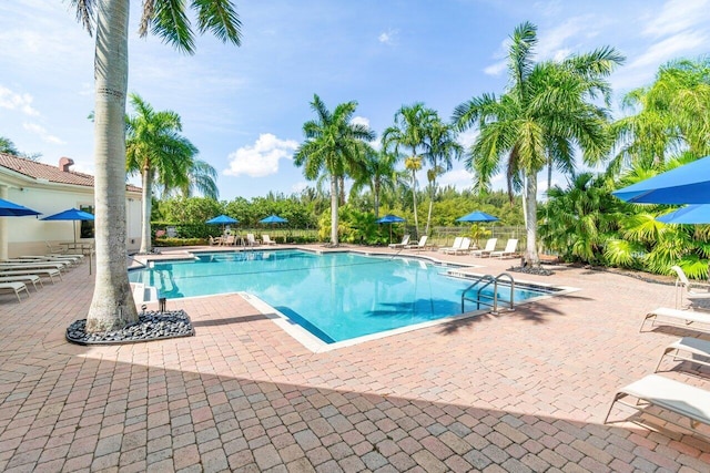 view of swimming pool with a patio area