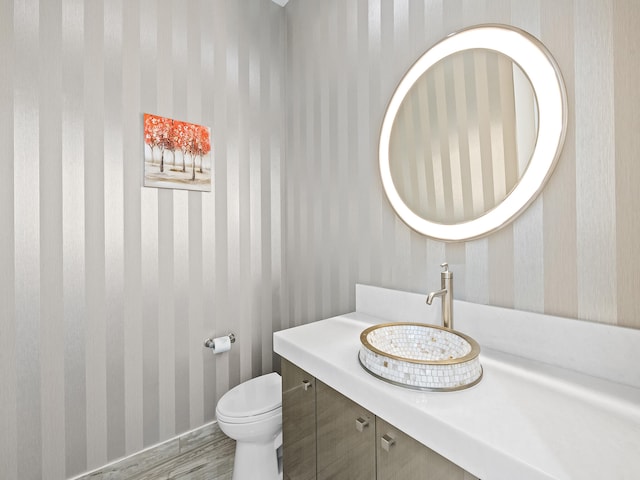 bathroom featuring vanity, toilet, and hardwood / wood-style floors