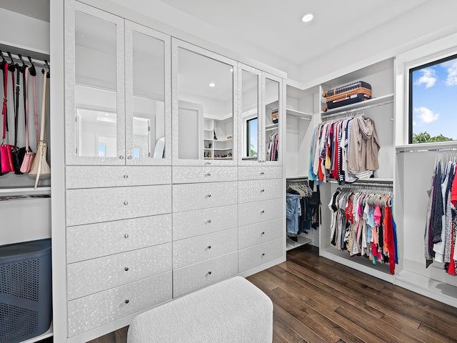 walk in closet with dark hardwood / wood-style floors