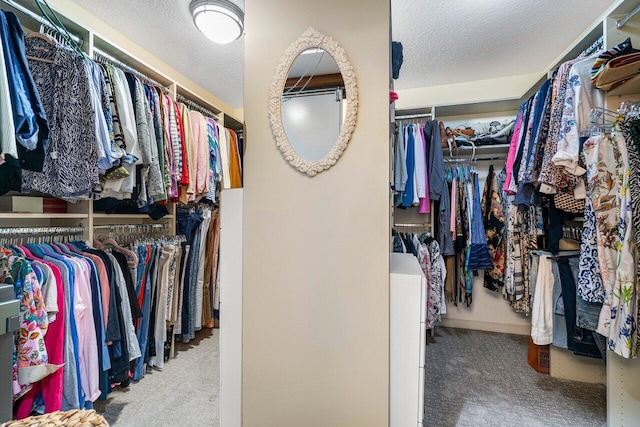 walk in closet with carpet floors