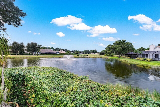 property view of water