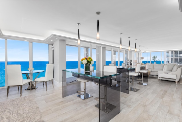 interior space featuring light wood-type flooring, decorative light fixtures, expansive windows, and a water view