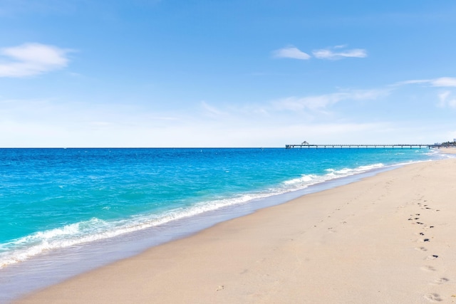 water view with a view of the beach