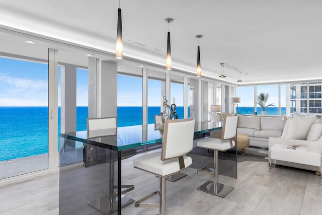 dining area featuring light hardwood / wood-style flooring, a water view, and a healthy amount of sunlight