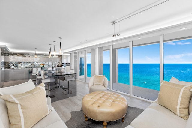 living room featuring floor to ceiling windows, a water view, and light wood-type flooring