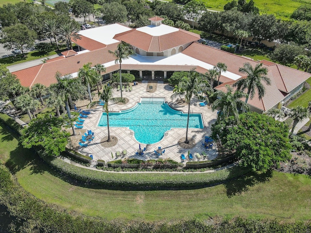 view of pool featuring a patio and a yard