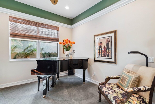 living area featuring carpet floors