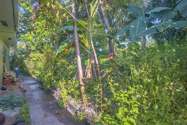 exterior space