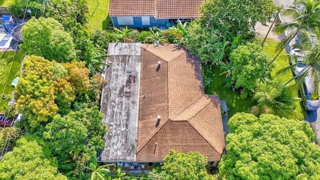 bird's eye view